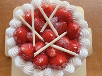 サイズアップオプション-１月- 18cm