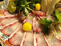 【鴨川納涼床席利用】　天然クエ尽くしコース　全9品