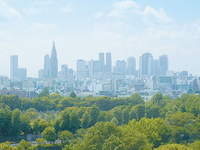 《平日レイトランチWEB予約限定》ビュッフェ大人　￥8,000→￥6,500