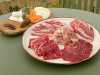 スタンダードコース