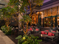 New Year's Eve Countdown Party at Lime Bar