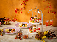 【プレミアムシーズンアフタヌーンティー（部屋料金+飲み放題+季節のアフタヌーンティー）3時間／土日祝】