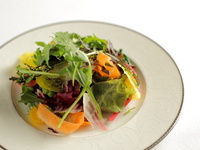 【公式オンライン限定プランA】季節の恵みを味わうカジュアルコース　