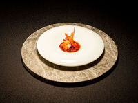 IFU Lunch Course