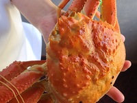 季節の本松葉蟹と九条ネギの炊き込みご飯　