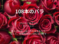 [Proposal Plan: Option] 108 roses Additional charge: 52,800 yen