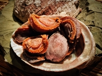 カウンター 【数量限定】吉浜産 干し鮑と季節の食材コース 【counter】Dried abalone from Yoshihama&Seasonal course
