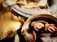 カウンター  【数量限定】吉浜産 干し鮑とフカヒレの姿煮コース 【counter】Dried abalone from Yoshihama&Shark Fin course