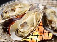 広島産牡蠣  1kg (6~9個）