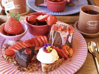 バレンタイン太山寺苺のチョコディッププレート