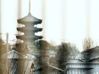 Seasonal Mamecha Lunch Kaiseki