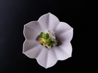 【ランチ限定】八寸から始まるカジュアルに季節のお料理を楽しむ　豆ちゃの昼懐石【凪】