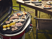  Garden BBQ (Child)
