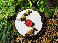 LOQUAT《スタンダード》 ディナーコース （夜）