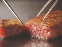 【早期予約限定】プリフィックスコース