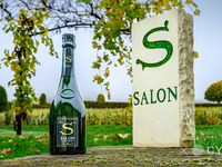 12/4 【Champagne SALON x CYCLE Special Dinner】