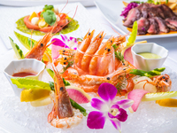 3hフリードリンク付【Luxury　dinnercourse】期間限定！ずわい蟹やサーロイン、生牡蠣など全7品