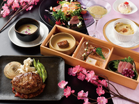 梅つくし桜まいりハンバーグ御膳 160g