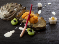 【WEB予約限定　呉竹】扇