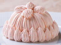 さくらコース＜フルコース＞（平日14：00～）