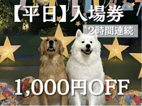 入場券（平日）2時間連続