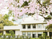 【4月4日(土)限定】SAKURA Course　お子様プレート