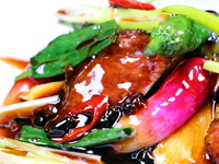 [Dinner] [Kogyoku Course] 8 dishes including braised Kesennuma shark fin, Hokkaido abalone, A5-grade Wagyu beef, and our special shrimp wonton and Hong Kong noodles. ★Course + 2 hours of all-you-can-drink ◆Private room guaranteed◆