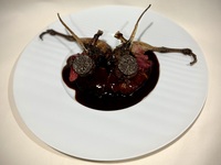 Menu Gourmand シェフのパッション溢れる美食家コース