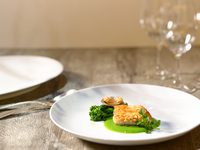 【3/21限定】春の恵みとワインが響きあうOZAWAディナーイベント