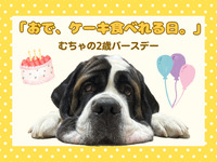 初めての人も大歓迎！💖むちゃバースデーイベント💖