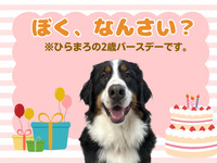 Admission ticket (Saturdays, Sundays, and hdays)