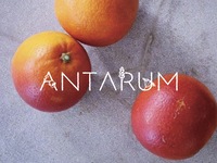 6月25日限定　”アントアルム”　デザートコース