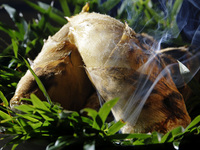 特別料理 30,000円～ (フロア)