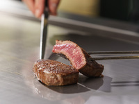 季節のサラダ前菜と選べるメインのステーキランチ【土日祝祭日限定】