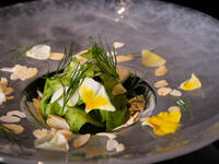 植物课程（不使用动物产品）