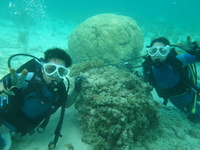【General Fee】Diving Experience, 90 minutes 2025 B期間　4/26-5/6,7/1-9/30