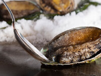 ワンドリンク+プチギフト付き　鉄板鮑ランチコース￥22000