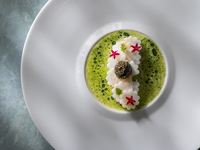 Pleasure 5皿コース