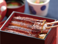  Japanese Eel on Rice