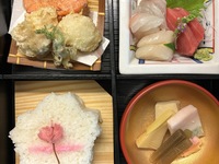 ＜ランチ＞お花見期間限定　お花見松花堂弁当  