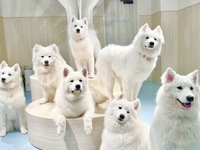 ≪平日≫貸切プラン（50分）¥25,000