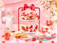 「ぼく、シマエナガ。」コラボ！ シマエナガランチ春 ～Like Afternoon Tea～