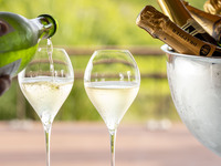 【Dinner】 La Rose Propose Plan