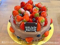[Reservations can be made until May 18th] 🍓Strawberry Special Chocolate Cream🍓(No.7 21cm) For 8-10 people [Basic] [9,466 yen excluding tax]