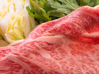 Yamagata beef shabu-shabu course