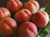 【7/16-8/23】pairing Peach course 2026
