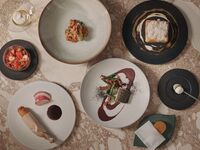 【ダイナースクラブ会員様/DINNER】 おまかせコース＜全8品＞＋ペアリング