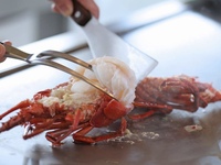 【公式サイト限定♪おトクなプラン】ランチ暮雪