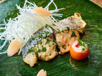 ◇四季彩コース（メイン：旬魚or魚介類or国産牛）　