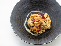 Contemporaneo - 現代 - 